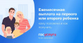 Как получить ежемесячную выплату на первого или второго ребенка